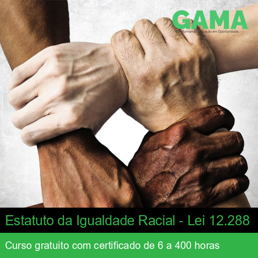 Estatuto da Igualdade Racial - Lei 12.288